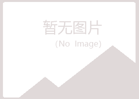 河池傲珊咨询有限公司